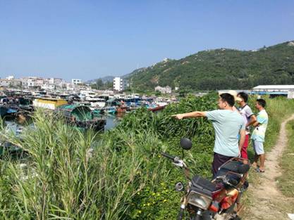 15日上午川島中隊(duì)再次深入沙堤避風(fēng)塘進(jìn)行再檢查再落實(shí) (2)