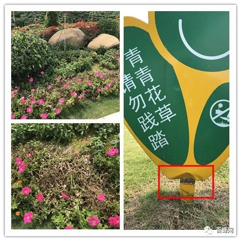 微信圖片_20200413183733.jpg