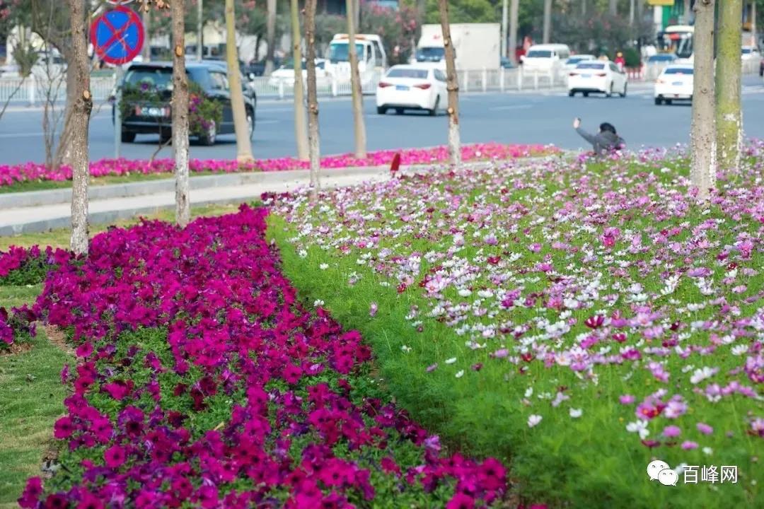 微信圖片_20200814205813.jpg