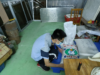 已編輯圖片