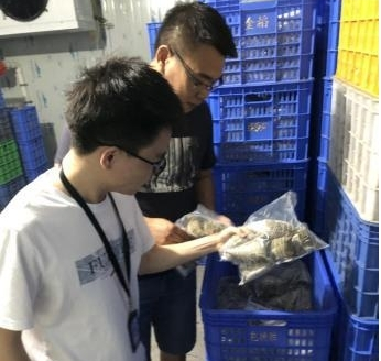 已編輯圖片