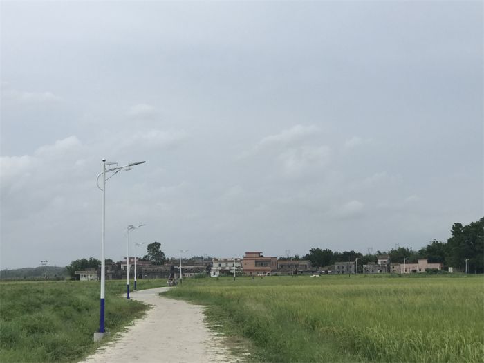 5.新屋村農(nóng)村公路美化亮化工程1，梁羨同.png