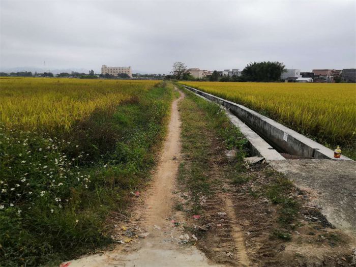 6.稔坪吉安村道路拓寬工程1，曾穩(wěn)新.png
