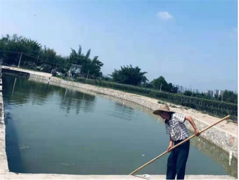 圖片12.jpg