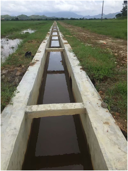 △在深井鎮(zhèn)東頭村撂荒地修建渠道和田間道路.png