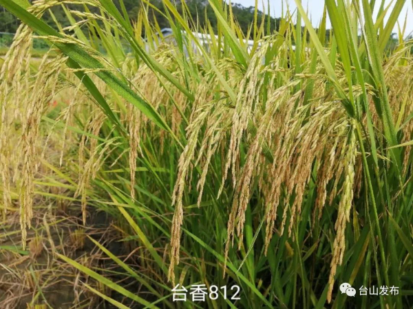 微信圖片_20210923165005.jpg