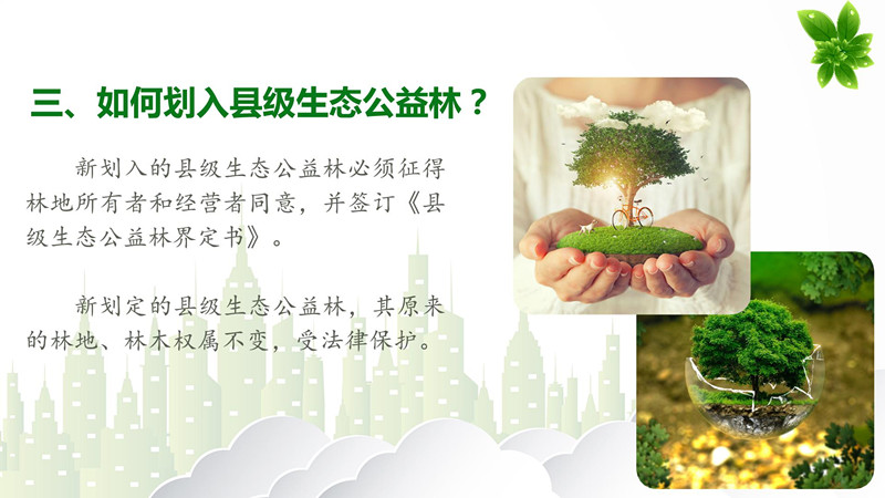 微信圖片_20191220153958_副本（4）.jpg