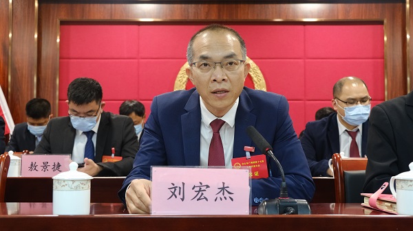 鎮(zhèn)委書記劉宏杰講話.JPG