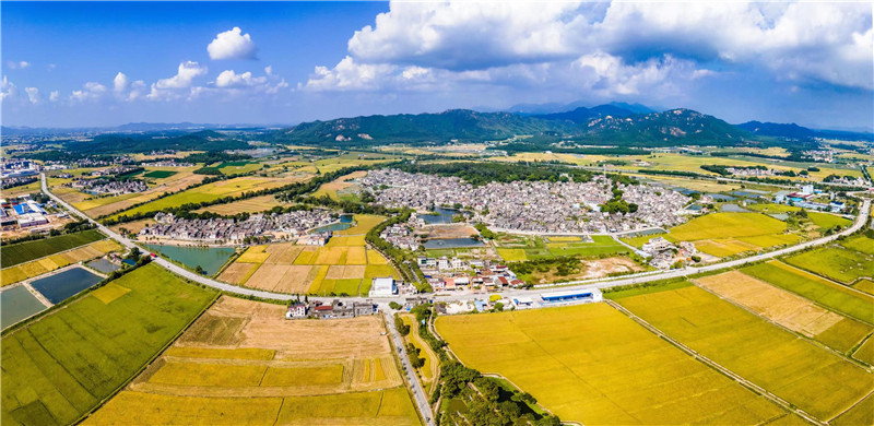 4銀質(zhì)收藏獎(jiǎng)31-浮石新貌(1)副本.jpg