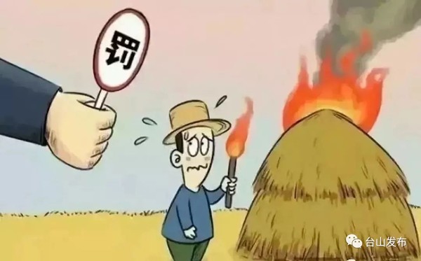 b11.jpg