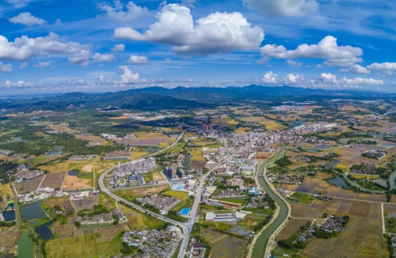 綠美建設(shè)1_副本.jpg