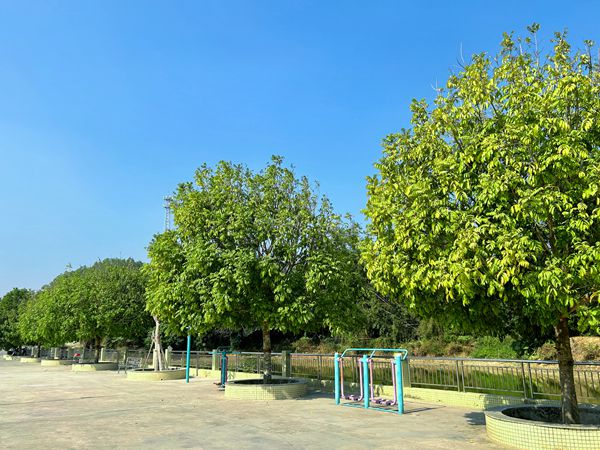 修  禮邊_副本.jpg