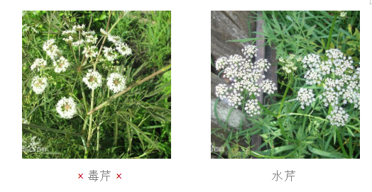 圖片5.png