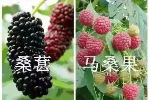圖片12.png