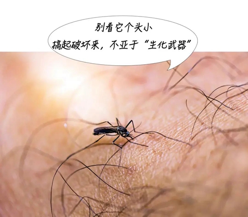 微信圖片_20240521151445_副本.jpg
