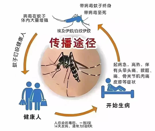 微信圖片_20240521151454_副本.png