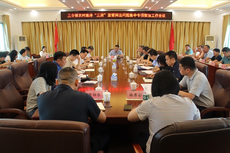 三合鎮(zhèn)農(nóng)村集體“三資”監(jiān)管突出問題集中專項(xiàng)整治工作會議.JPG