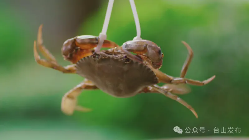 已編輯圖片