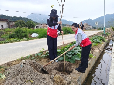 石蕉村兩委干部、駐點組干部開展鄉(xiāng)村綠化主題植樹活動.jpg