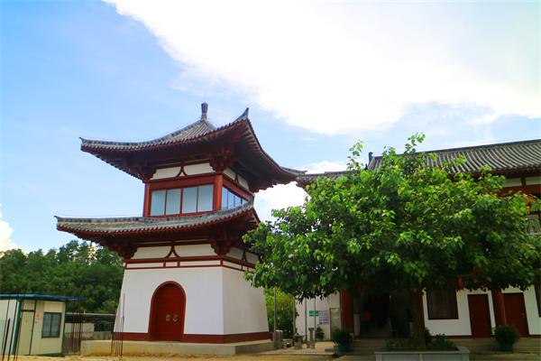 滾輪縮放,點(diǎn)擊查看大圖